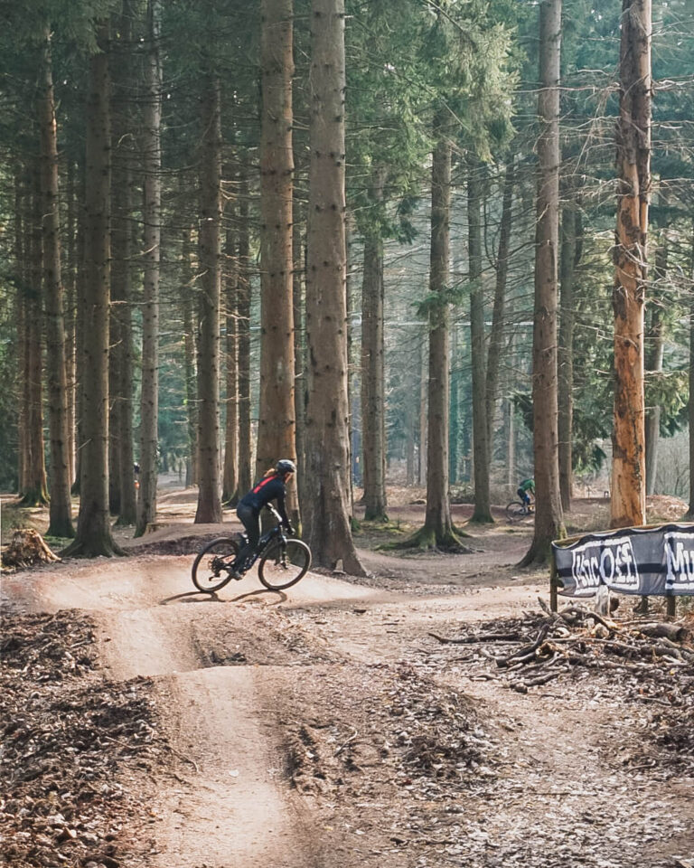 XC Mountain Biker riding in the Forest of Dean